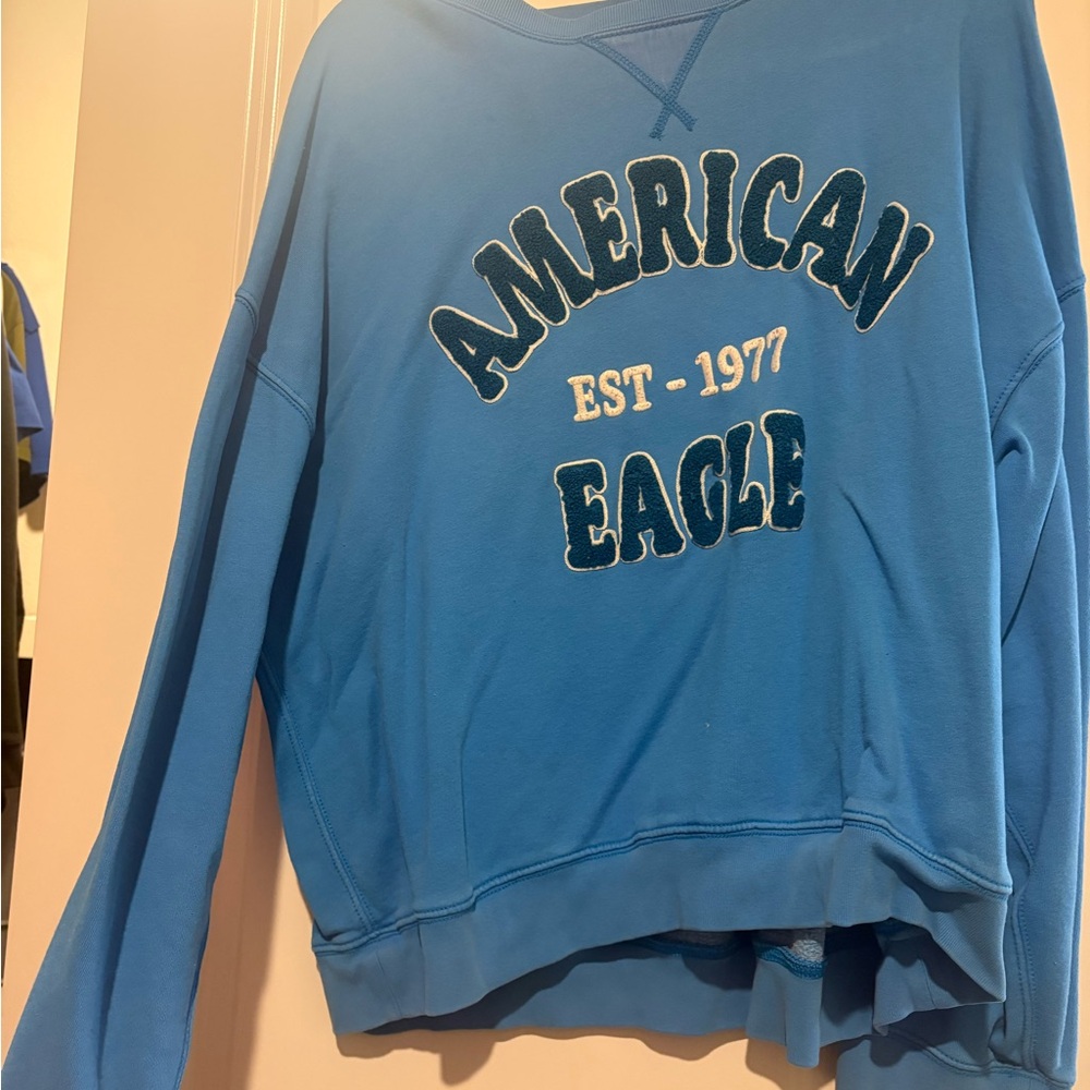 American Eagle Outfitters Vibrant Blue Crew Neck Sweater